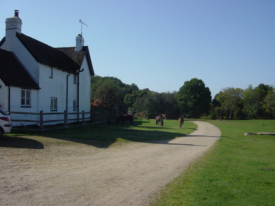 Holly Hatch cottage